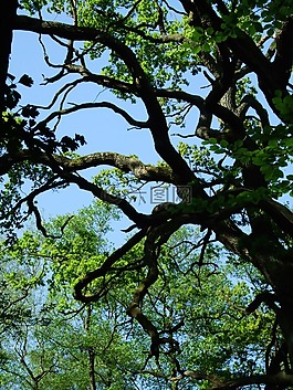 老,性質(zhì),秘密