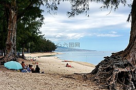 海灘,沙,日光浴
