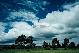 天空,云,樹