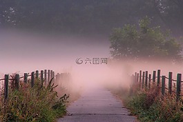 黎明,霧,景觀