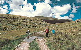 路徑,路,街