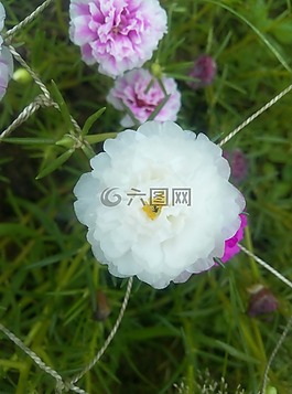 勞動(dòng)節(jié),日食,比特幣