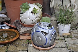 diy,足球,植物