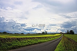 路,農(nóng)村,自然