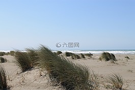 海灘,海邊,夏天