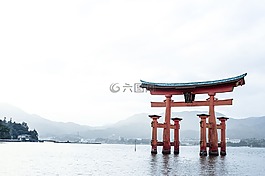 海,海洋,水