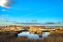 自然,河,戶外