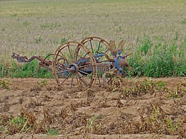 土豆,kartoffelernter,蔬菜
