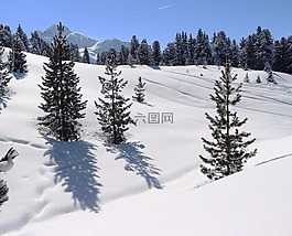 雪,山,高山