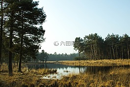自然,风景,景观
