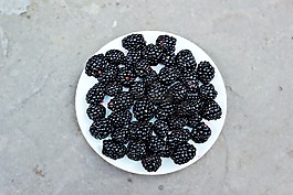 黑莓,水果,食品