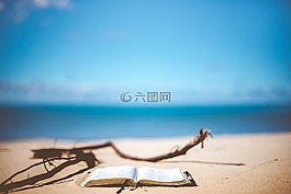 海,水,海洋