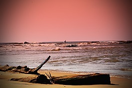 海灘,日志,日落