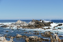 南非,开普敦国际机场海滩,水域