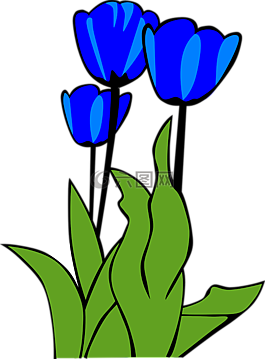 郁金香,鲜花,植物