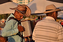 手風(fēng)琴,觸摸,vallenato