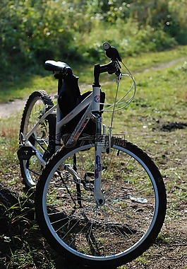 自行車(chē),森林,秋季