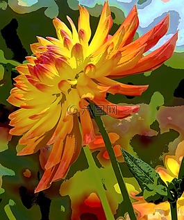 嬌琴紗,開(kāi)花,花