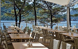 餐廳,椅子,表