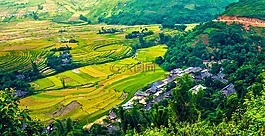 日元白,盲目的彈力梳子,范陳