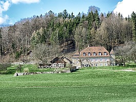 lagendorf,瑞士,森林