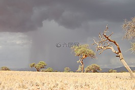沙漠,雨,雨云
