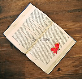 本書,復(fù)古,舊