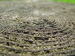 木材,吊环,树