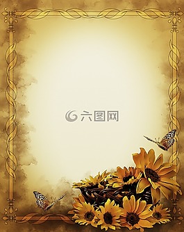 向日葵,靜物,幀