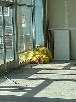 雞,服裝,建設(shè)
