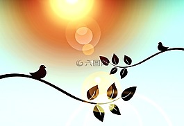 科,鳥(niǎo),twitter