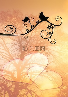 鳥,twitter,愛情