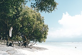 海,海洋,水