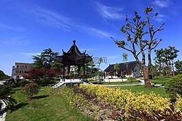 花園,草坪,校園