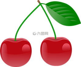 櫻桃,紅,水果