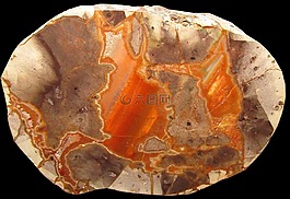 創(chuàng)業(yè)板,石,集合