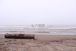 木制的日志,海滩,岸