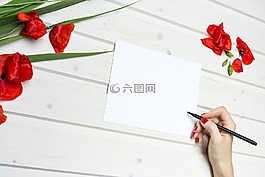 生活方式,工作,紙