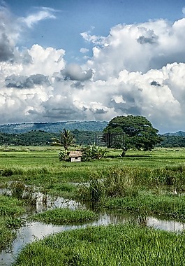 菲律宾,景观,景区