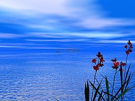 海,海洋,水