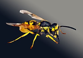 bug,tweevleugeligen,性質(zhì)