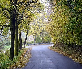 路径,秋,山区公路
