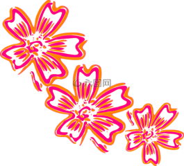 鲜花,橙色,粉红色