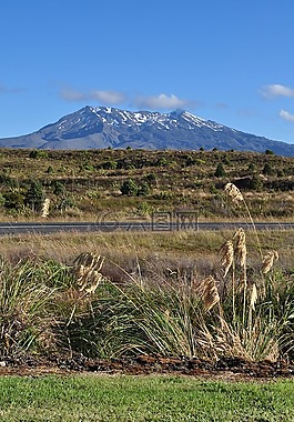 山,新西蘭,新