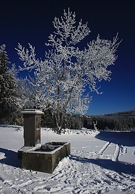 雪,現(xiàn)場,冬天
