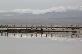 青海,茶卡,鹽湖