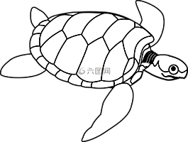 龜,海,游泳