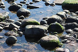 鵝卵石,石頭,水