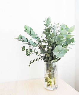 綠色,葉,植物