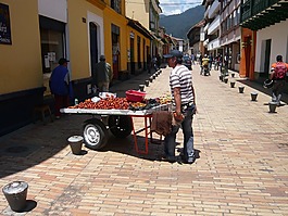 卖方,chontaduro,zipaquirá
